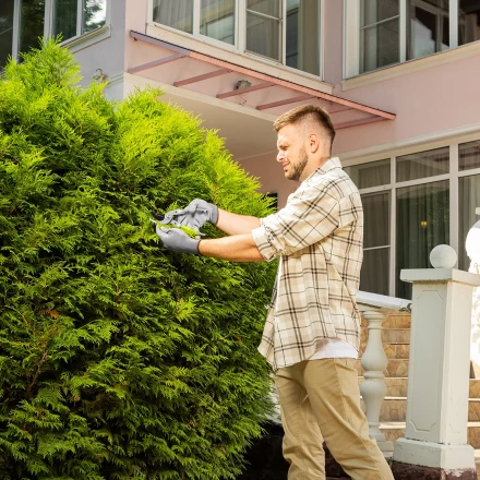 Секатор прямого реза Сибртех, 225 мм, металлические рукоятки, нижняя в ПВХ-оболочке, 604695 купить в Урае