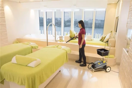 Пароочиститель KARCHER SG 4/4 профи купить в Урае