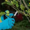 Нож садовый Palisad, 165 мм, складной, окулировочный, пластиковая рукоятка, 790547 купить в Урае