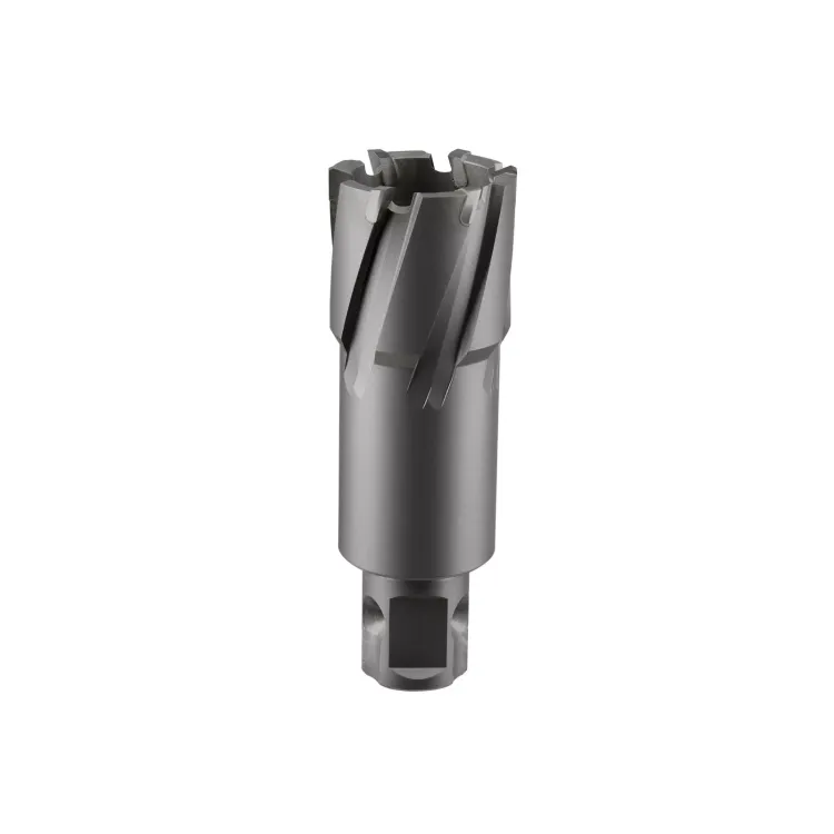 Сверло корончатое твердосплавное ALTECO TCT 30х50 82792 купить в Урае