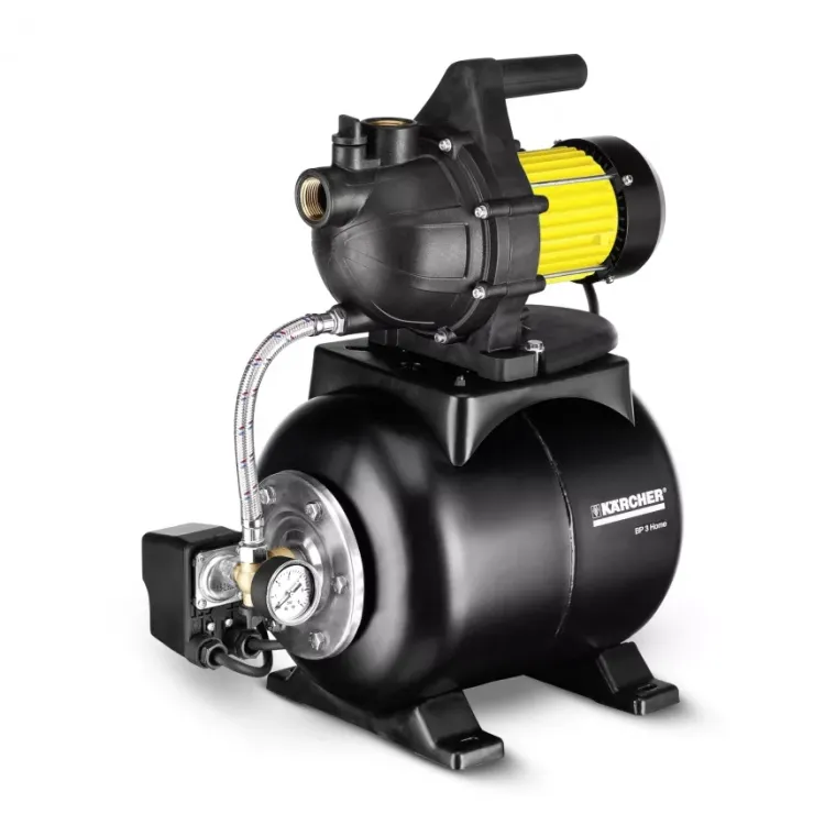 Поверхностный насос KARCHER BP 3 Home купить в Урае