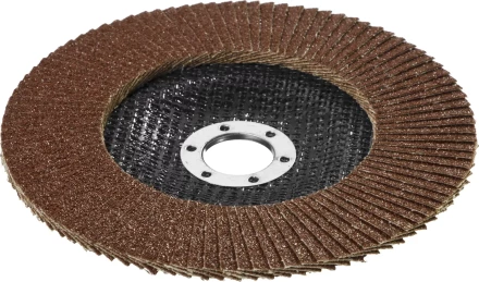 Круг шлифовальный STAYER &quot;PROFI&quot; лепестковый торцевой, зерно-электрокорунд нормальный, тип КЛТ 1, P40, 125х22,2мм 36581-125-040 купить в Урае