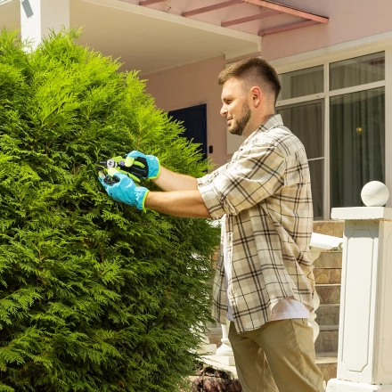 Секатор с наковальней Palisad, 190 мм, пластиковые рукоятки 60454 купить в Урае