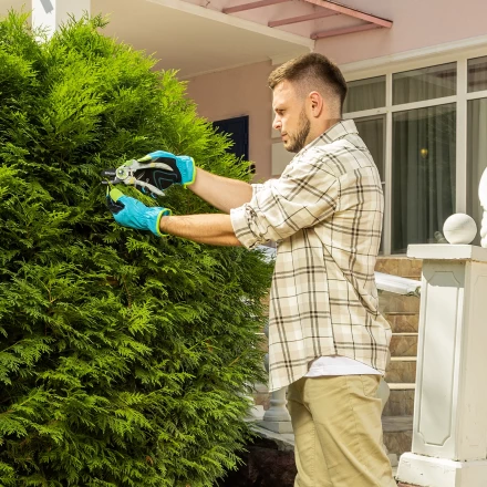 Секатор с наковальней Palisad, 210 мм, пластиковые рукоятки, 60465 купить в Урае