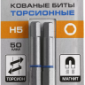 ЗУБР Hex 5, 50 мм, 2 шт, торсионные биты, Профессионал (26017-5-50-2) купить в Урае