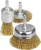 STAYER &quot;PROFESSIONAL&quot;. Набор щеток-крацовок для дрели, витая стальная латунированная проволока 0,3мм, диск. 50мм, чаш. 50мм, кистевая 25мм, 3шт 35152-H3_z01 купить в Урае