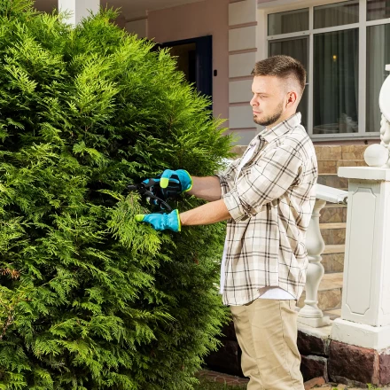 Секатор прямого реза Palisad 215 мм, двухкомпонентные рукоятки, Luxe 604775 купить в Урае