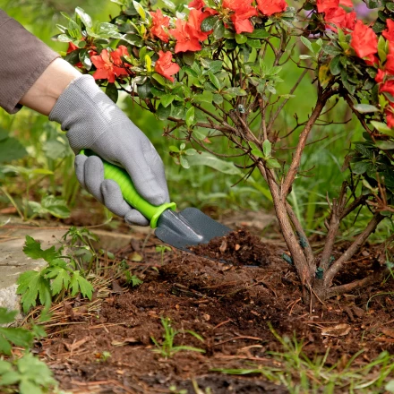 Совок узкий, защитное покрытие, пластиковая рукоятка Palisad 626528 купить в Урае