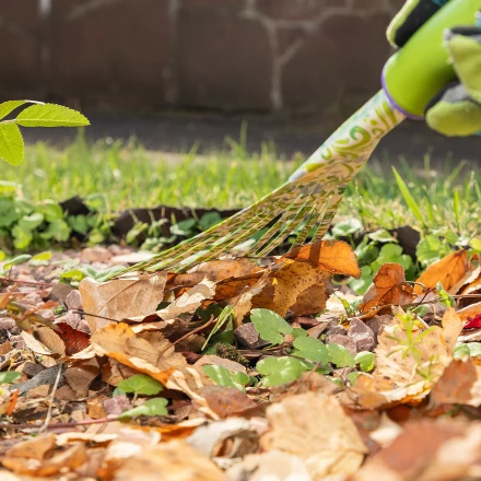 Грабли веерные 9 - зубые Palisad, 130 х 415 мм, стальные, пластиковая рукоятка, Flower Green, 620425 купить в Урае