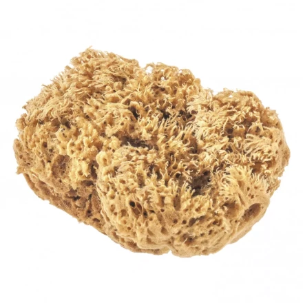 Губка натуральная для декоративных покрытий Matrix 86817 купить в Урае