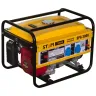 Бензиновый генератор STEM Techno SPG 3000 купить в Урае