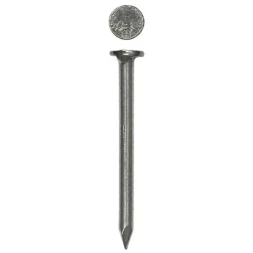 Гвозди ЗУБР строительные по дереву, листовому металлу, 1,2х16мм, ТФ6, 600шт 4-305016-12-016