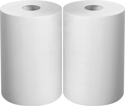 ЗУБР 20 х 25 см, 2-х слойная, в рулоне, 400 листов, 2 рулона, протирочная бумага, Профессионал (12822-20) купить в Урае