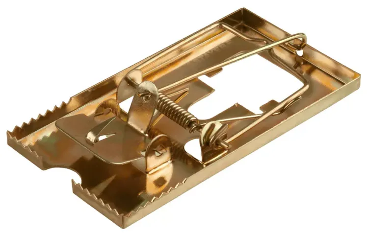Мышеловка STAYER "MASTER", металлическое основание, малая 40490-S купить в Урае
