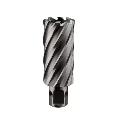 Сверло корончатое ALTECO HSS 14x50 22462