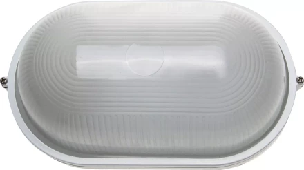 Светильник уличный СВЕТОЗАР влагозащищенный, овал, цвет белый, 100Вт SV-57203-W купить в Урае